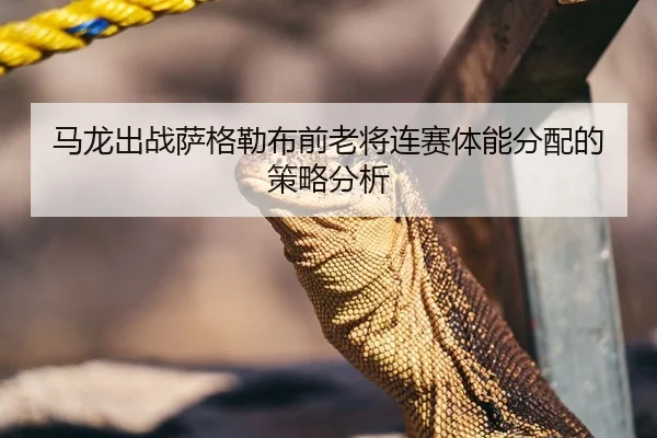 马龙出战萨格勒布前老将连赛体能分配的策略分析