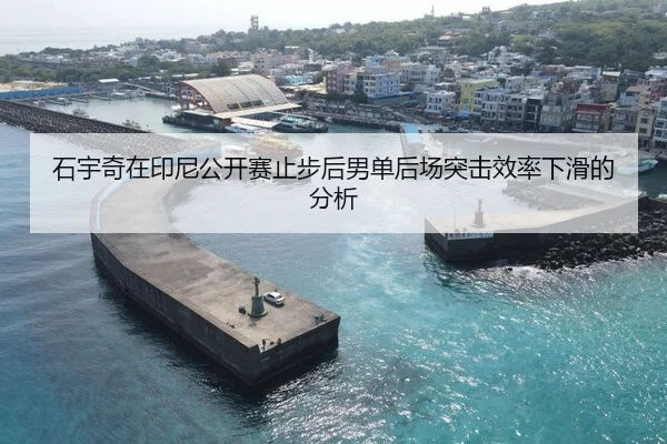 石宇奇在印尼公开赛止步后男单后场突击效率下滑的分析